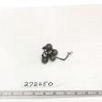 Click for 3 image(s) for this accession. FRUIT